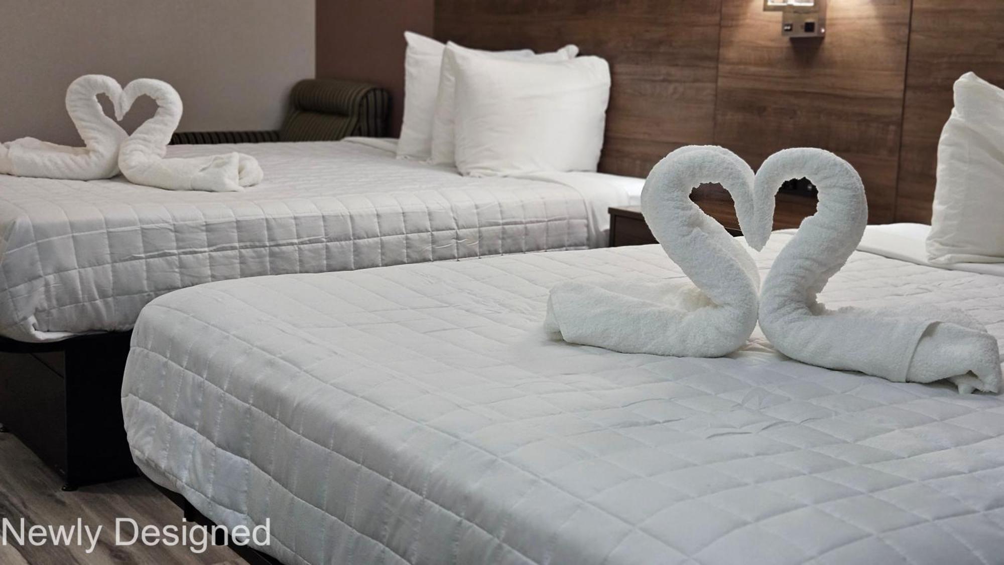 Best Western Hopkinsville Ky - Brand New Rooms Exteriér fotografie